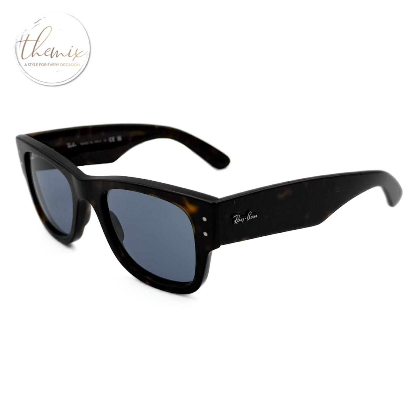 Rayban Wayfarer Female Polarized Sunglasses