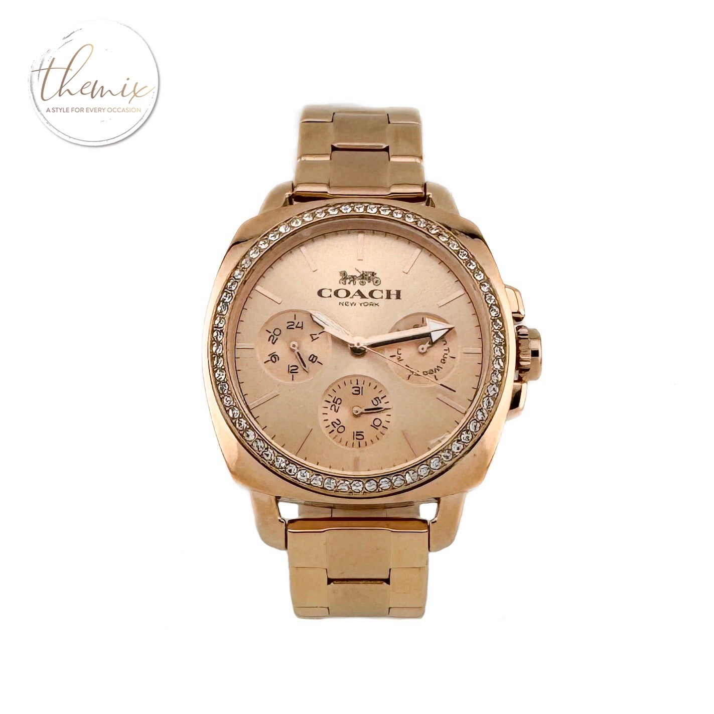 COACH Female Watch 14503131