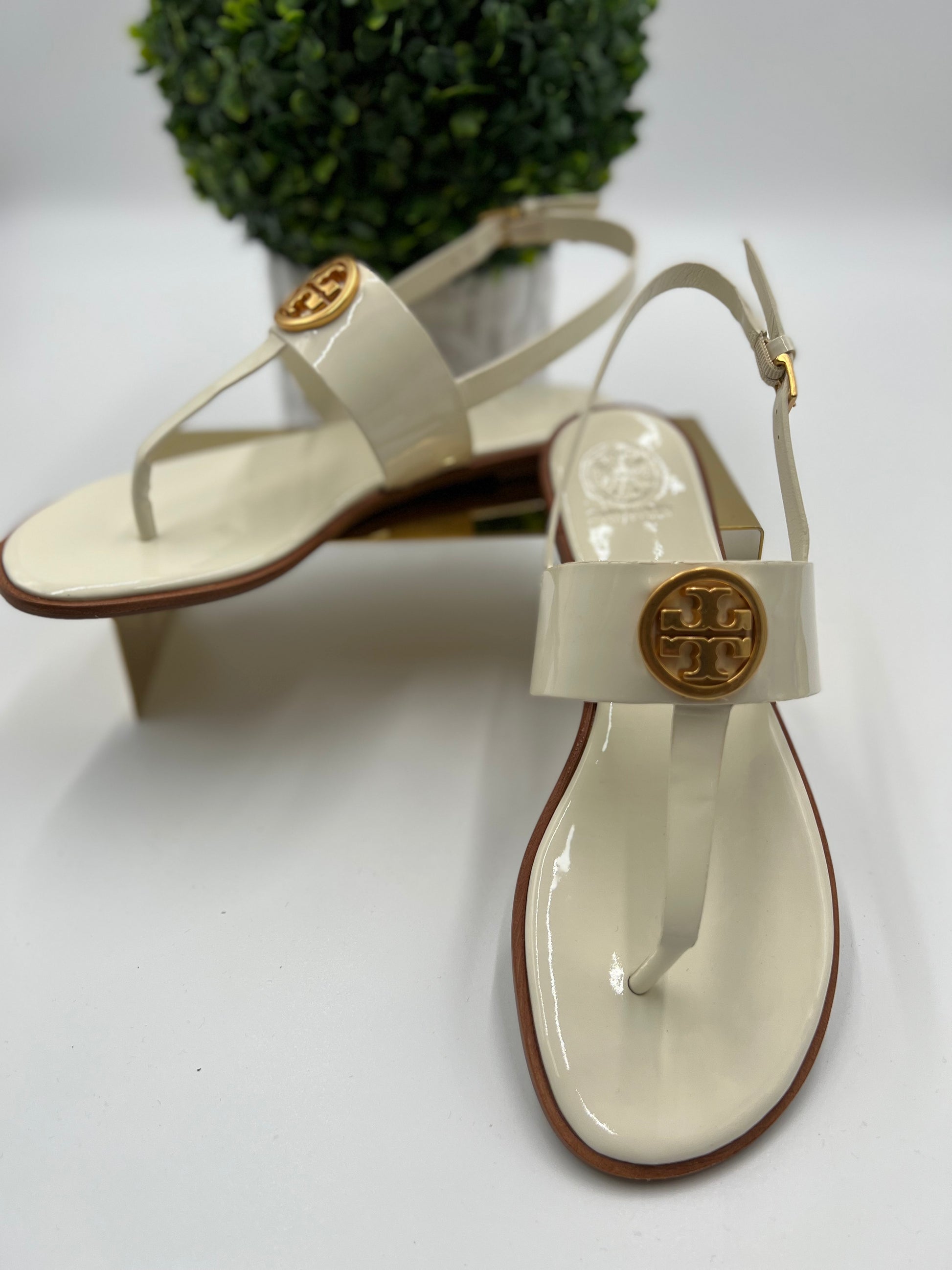 Tory Burch Benton 2 Flat Thong Sandal The MIX Belize